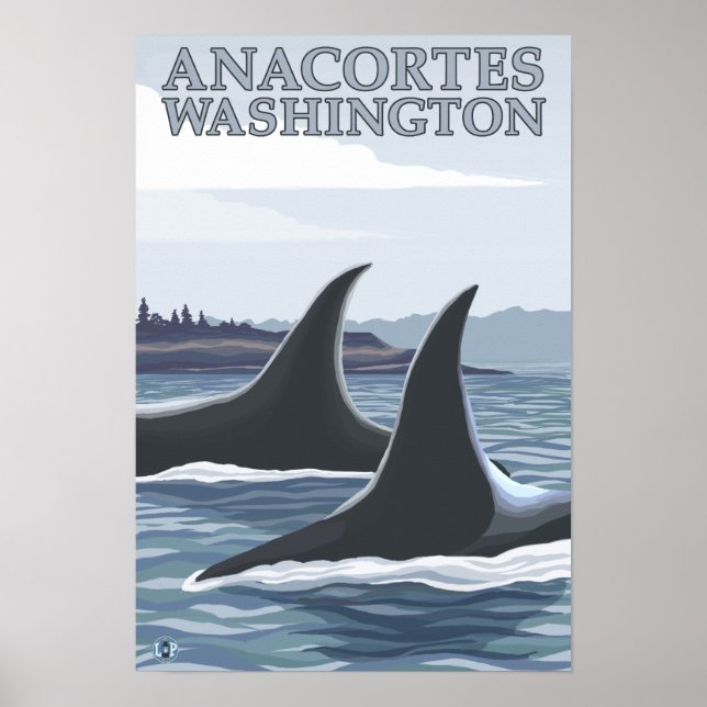 Poster Orca Whales #1 - Anacortes, Washington (Devant)