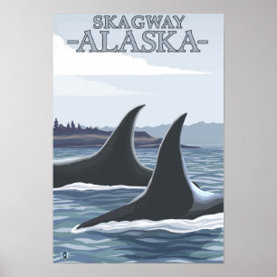 Poster Orca Whales #1 - Skagway, Alaska