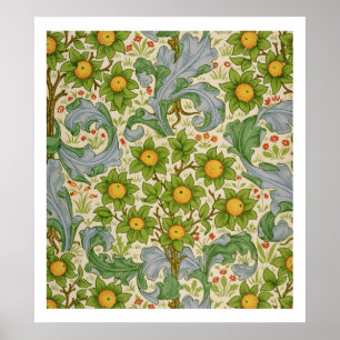 Poster Orchard, 1899