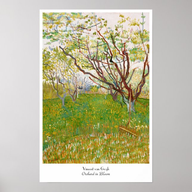 Poster Orchard à Bloom Vincent van Gogh fine art (Devant)