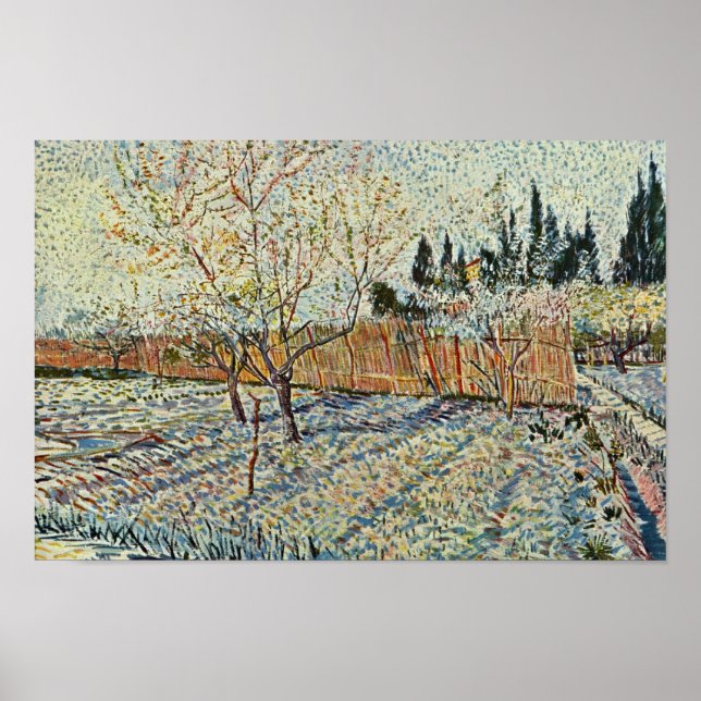 Poster Orchard Avec Cypress Par Vincent Van Gogh (Devant)