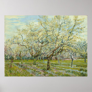 Poster Orchard blanc par Vincent Van Gogh