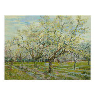 Poster Orchard blanc par Vincent Van Gogh
