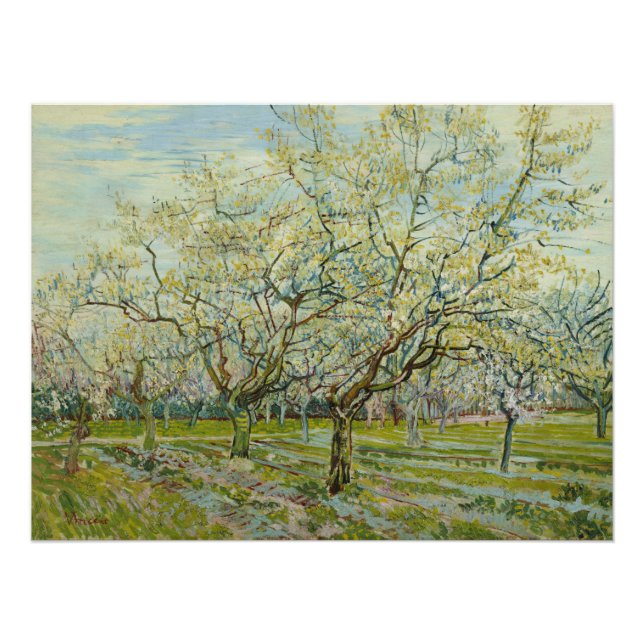 Poster Orchard blanc par Vincent Van Gogh (Devant)
