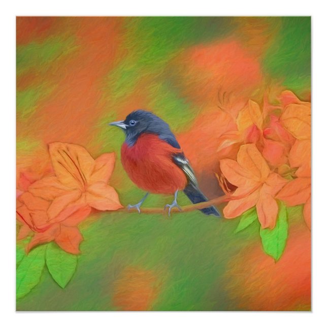 Poster Orchard Oriole Songbird Peinture Oiseau original (Devant)