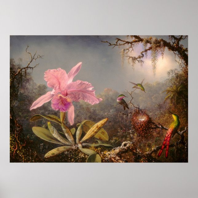 POSTER ORCHID ET TROIS HUMMINGBIRDS (Devant)