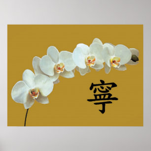Poster orchidée