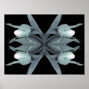 Poster Orchidée à glissière - Imprimer