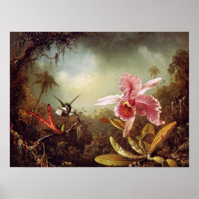 Poster Orchidée avec deux colibris (Devant)