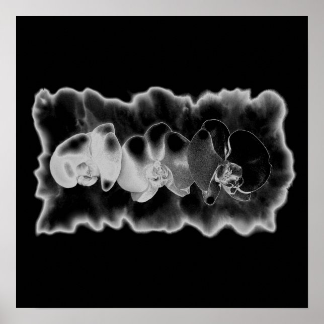 Poster Orchidée blanche noire peinture trippée florale (Devant)