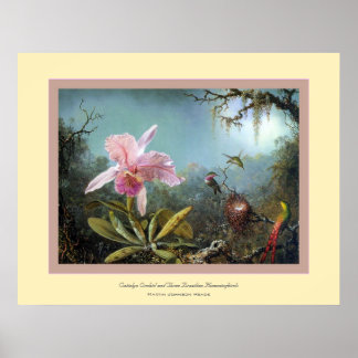 Poster Orchidée de Cattelya~ Martin Johnson Heade