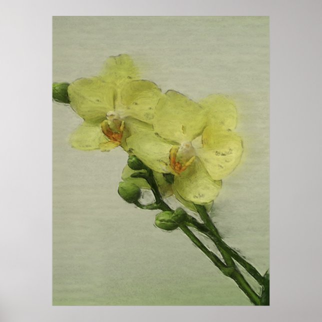 Poster Orchidée pâle (Devant)