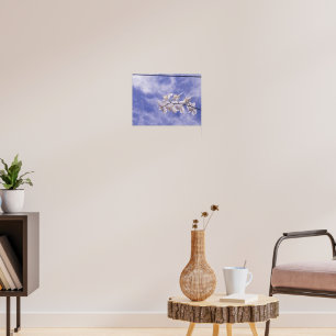 Poster Orchidée papillon