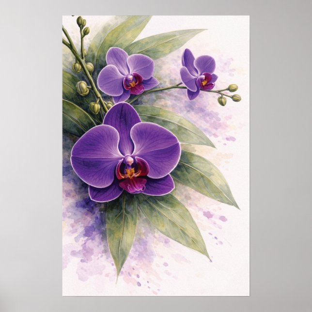 Poster Orchidée pourpre botanique  (Devant)