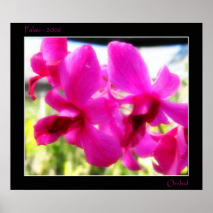 Poster Orchidée rose