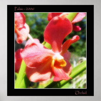 Poster Orchidée rouge