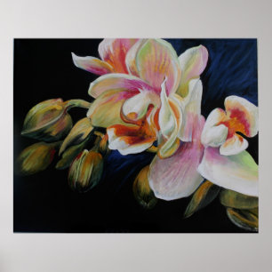 Poster Orchidées