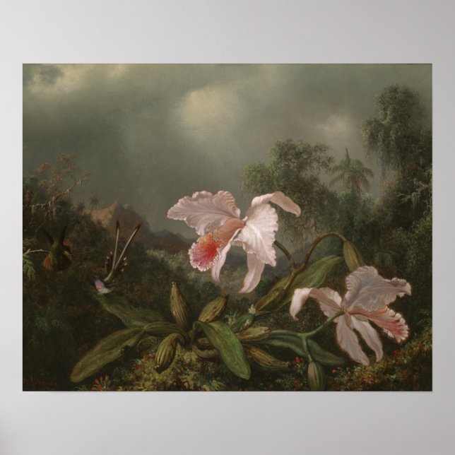 Poster Orchidées de la jungle et colibris (Devant)