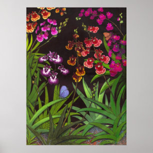 Poster Orchidées de Tolumnia de l'Oncidium Equitant Impri