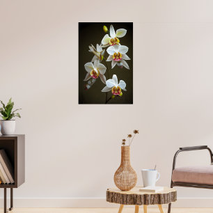 Poster Orchidées Dendroium