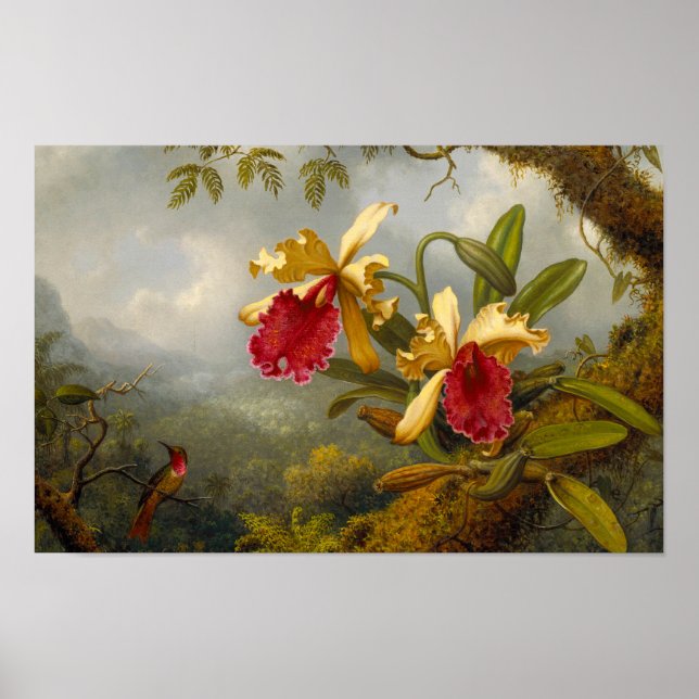 Poster Orchidées et colibri Heade (Devant)