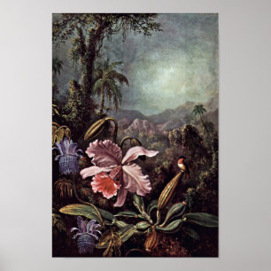 Poster Orchidées Fleurs De Passion Et Colibris De Martin