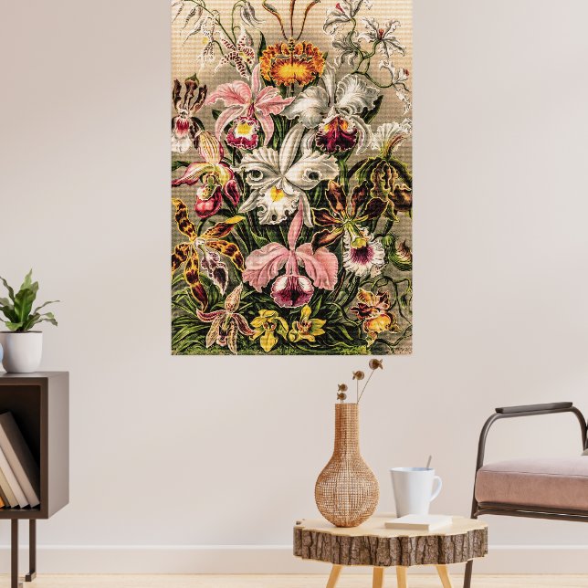 Poster Orchidées par Ernst Haeckel (Salon 3)