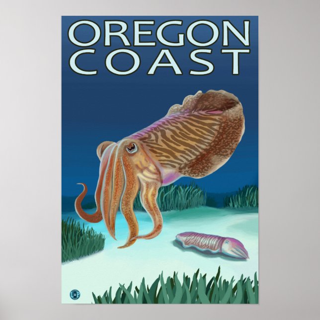 Poster Oregon Coast Cuttlefish (Devant)