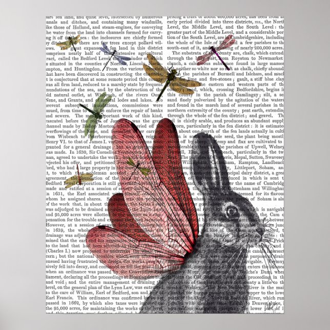Poster Oreille (Devant)