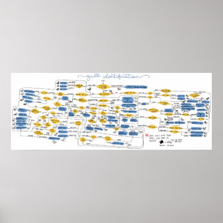 Poster Organigramme d'identification de goéland
