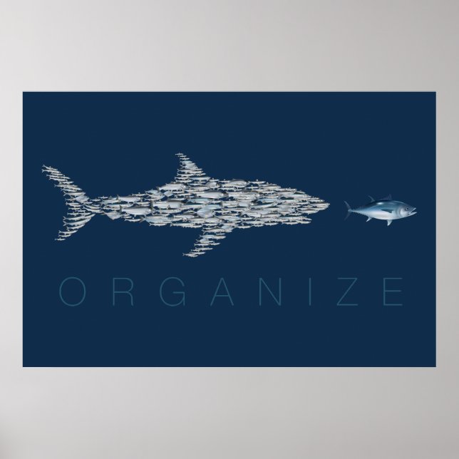 Poster Organiser le poisson (Devant)