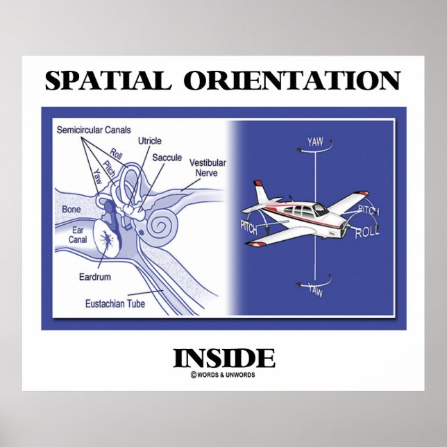 Poster Orientation spatiale à l'intérieur (plan d'anatomi (Devant)