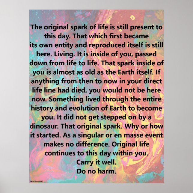 Poster Original Spark Of Life (Devant)