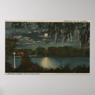 Poster Orlando, la Floride - vue éclairée par la lune de
