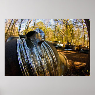 Poster Ornement de capes métalliques indiens Pontiac