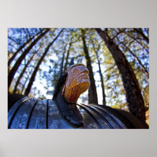 Poster Ornement de chaperon indien Pontiac (plus clair)