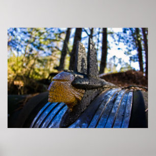 Poster Ornement de la Hood indienne Pontiac