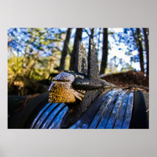 Poster Ornement de la Hood indienne Pontiac