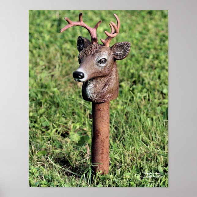 Poster Ornement de pelouse de la tête de cerf mou (Devant)