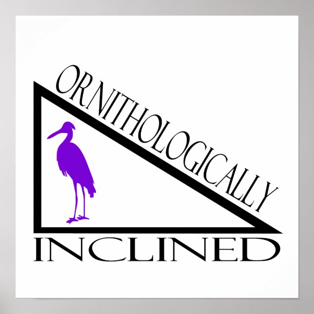 Poster Ornithologiquement incliné (Devant)