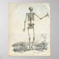 Os du squelette Art Imprimer