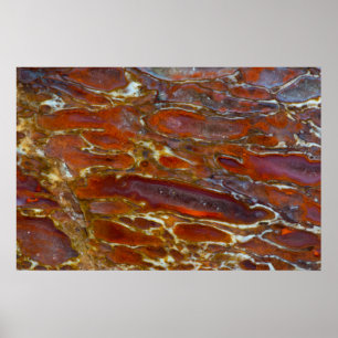 Poster Os Petrifié de Dinosaure