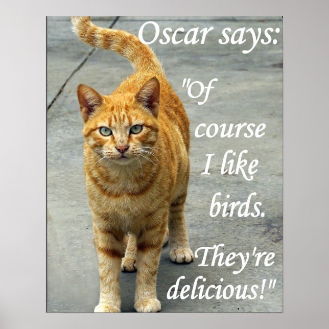 Poster oscar aime les oiseaux (Devant)