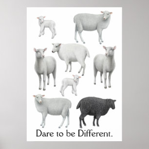 Poster Oser être différent Moutons noirs Imprimer