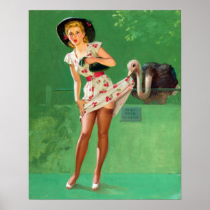 Poster Ostrich Pin Up