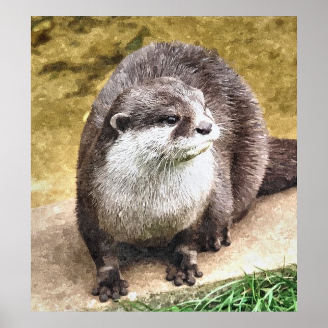 POSTER OTTER (Devant)