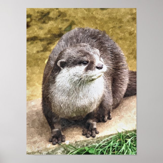 POSTER OTTER (Devant)