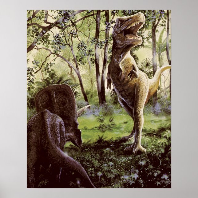 Poster ou imprimer (Devant)