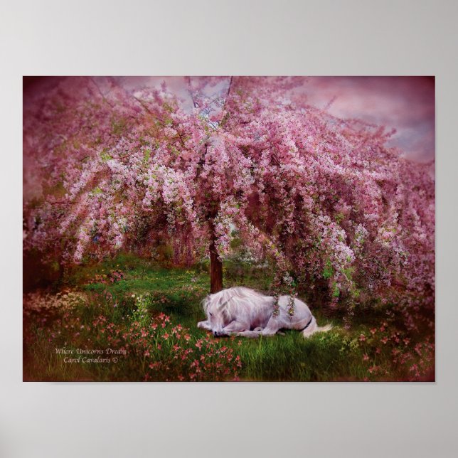 Poster Où Unicorn's Dream Art Poster/Imprimer (Devant)