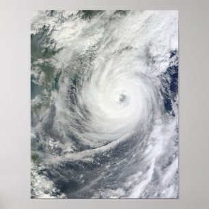 Poster Ouragan Megi